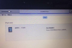 如何应对iPad电脑停用问题（解决iPad电脑停用的常见方法）