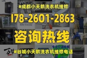 小天鹅滚筒洗衣机E1故障分析与维修解决方案（详解小天鹅滚筒洗衣机E1故障的原因及修复方法）