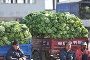 进口投影仪滞销的原因及解决办法（分析进口投影仪滞销的原因）