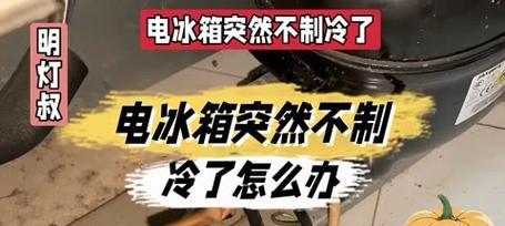 电冰柜失去制冷功能的可能原因及解决方法（为什么电冰柜不再制冷）  第1张