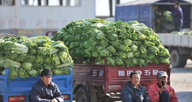 进口投影仪滞销的原因及解决办法（分析进口投影仪滞销的原因）  第1张