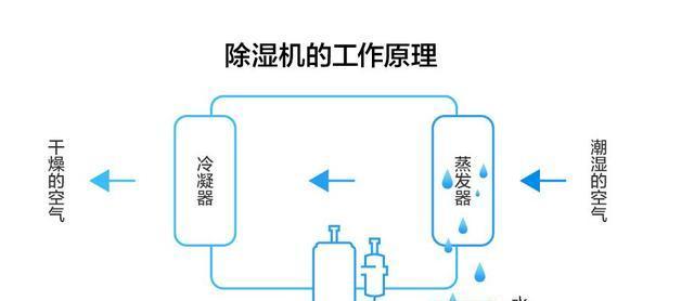 电脑显示器受潮的处理方法（如何有效应对电脑显示器受潮问题）  第3张